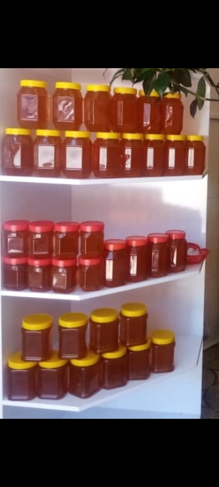 عسل طبیعی مرغوب و عالی 